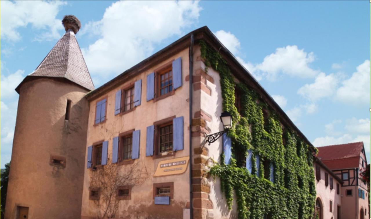 Au Nid De Cigogne Zellenberg Exterior foto