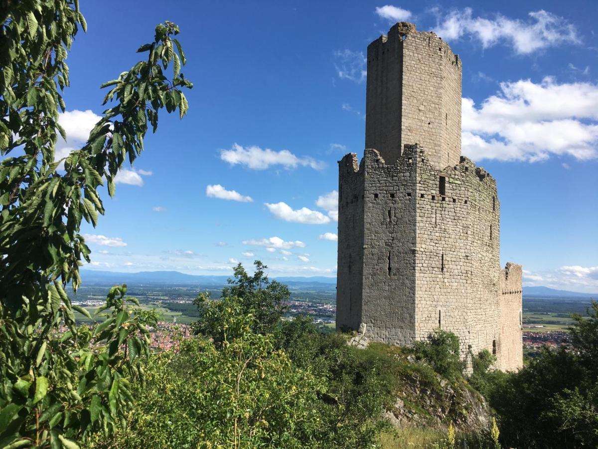 Au Nid De Cigogne Zellenberg Exterior foto