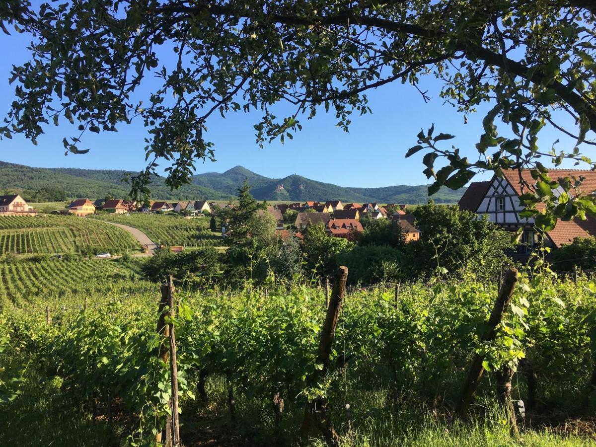 Au Nid De Cigogne Zellenberg Exterior foto