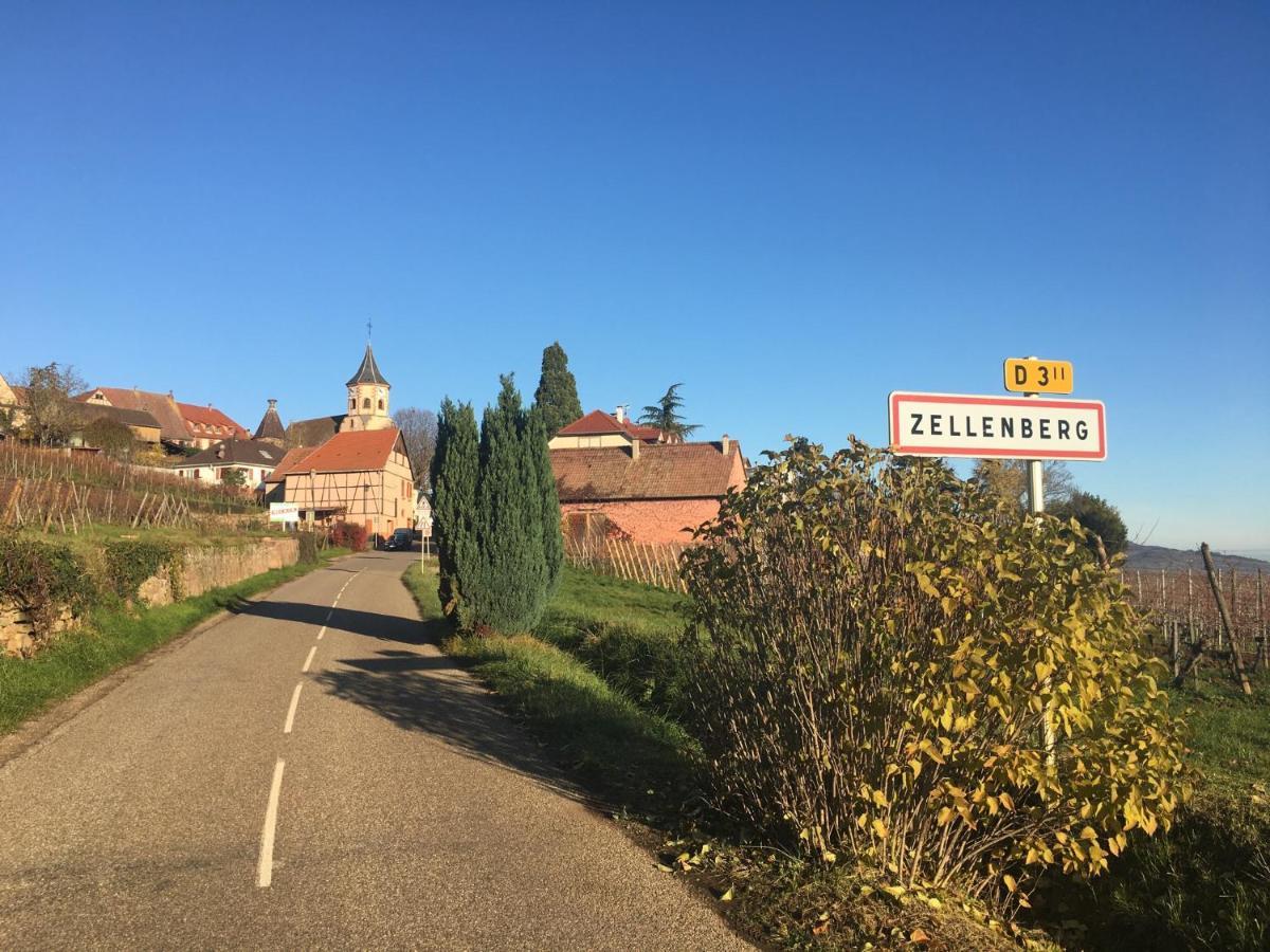 Au Nid De Cigogne Zellenberg Exterior foto