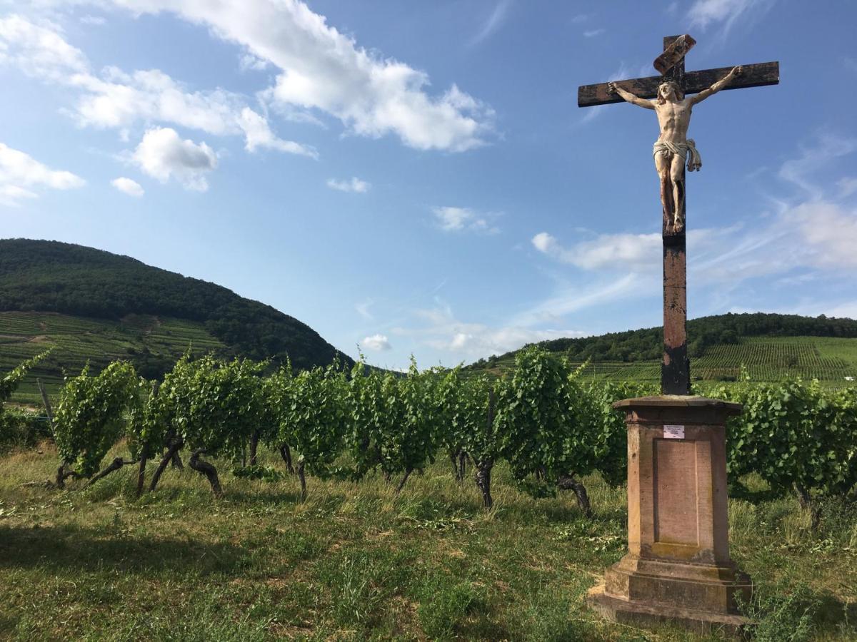 Au Nid De Cigogne Zellenberg Exterior foto