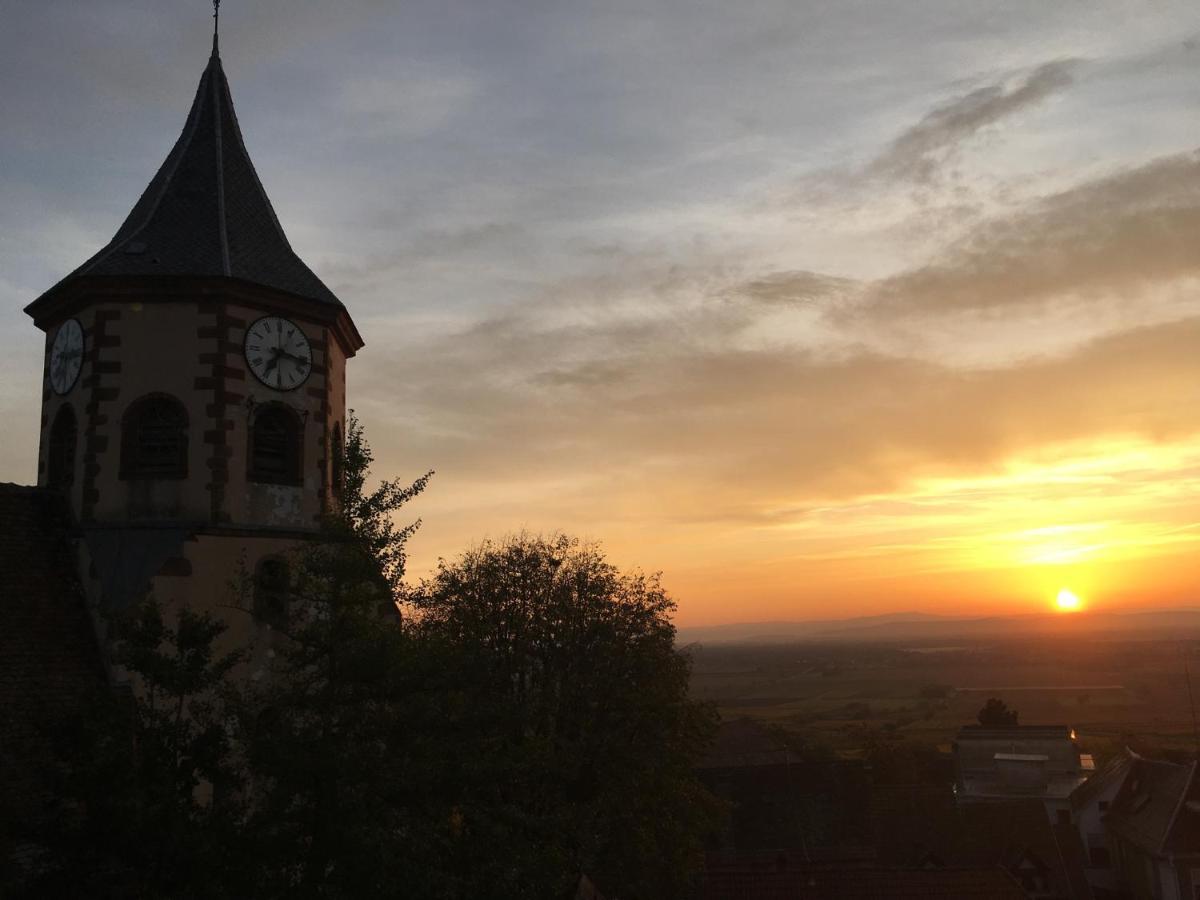 Au Nid De Cigogne Zellenberg Exterior foto