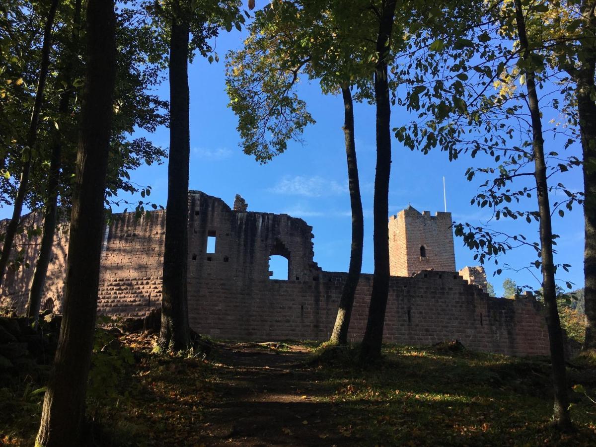 Au Nid De Cigogne Zellenberg Exterior foto