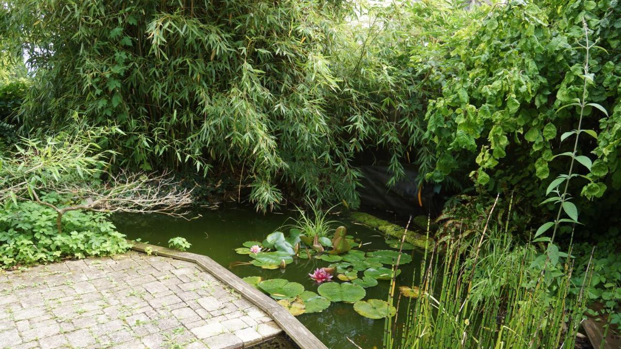 Au Nid De Cigogne Zellenberg Exterior foto